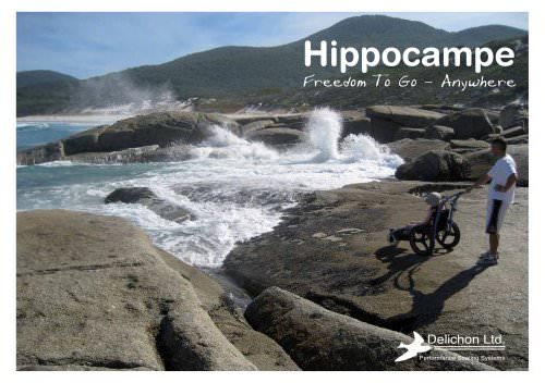 Hippocampe