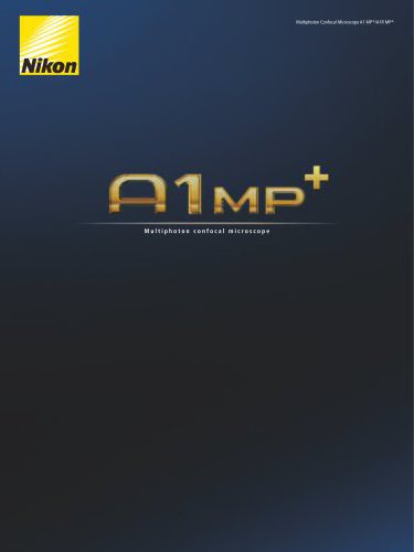 A1_MP