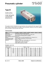 Pneumatic cylinder