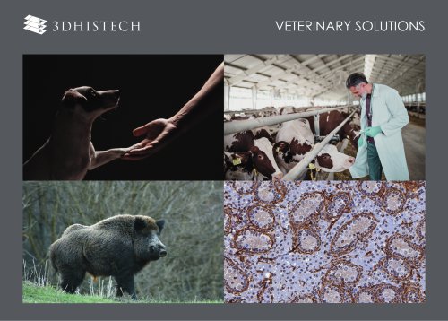 Veterinary Solution