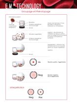 DIAGAST - 7