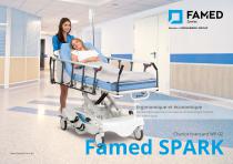 Famed SPARK - 1